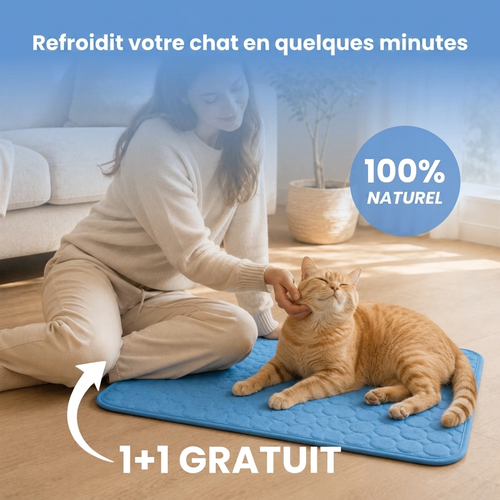 Tapis rafraîchissant Domylea (2 pour 1)