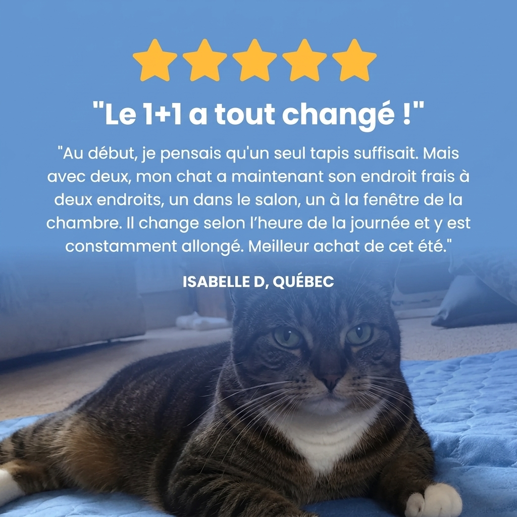 Tapis rafraîchissant Brisaya — 1 acheté = 1 offert