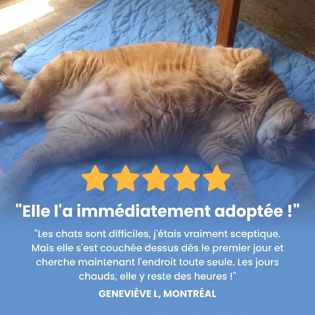 Tapis rafraîchissant Brisaya — 1 acheté = 1 offert